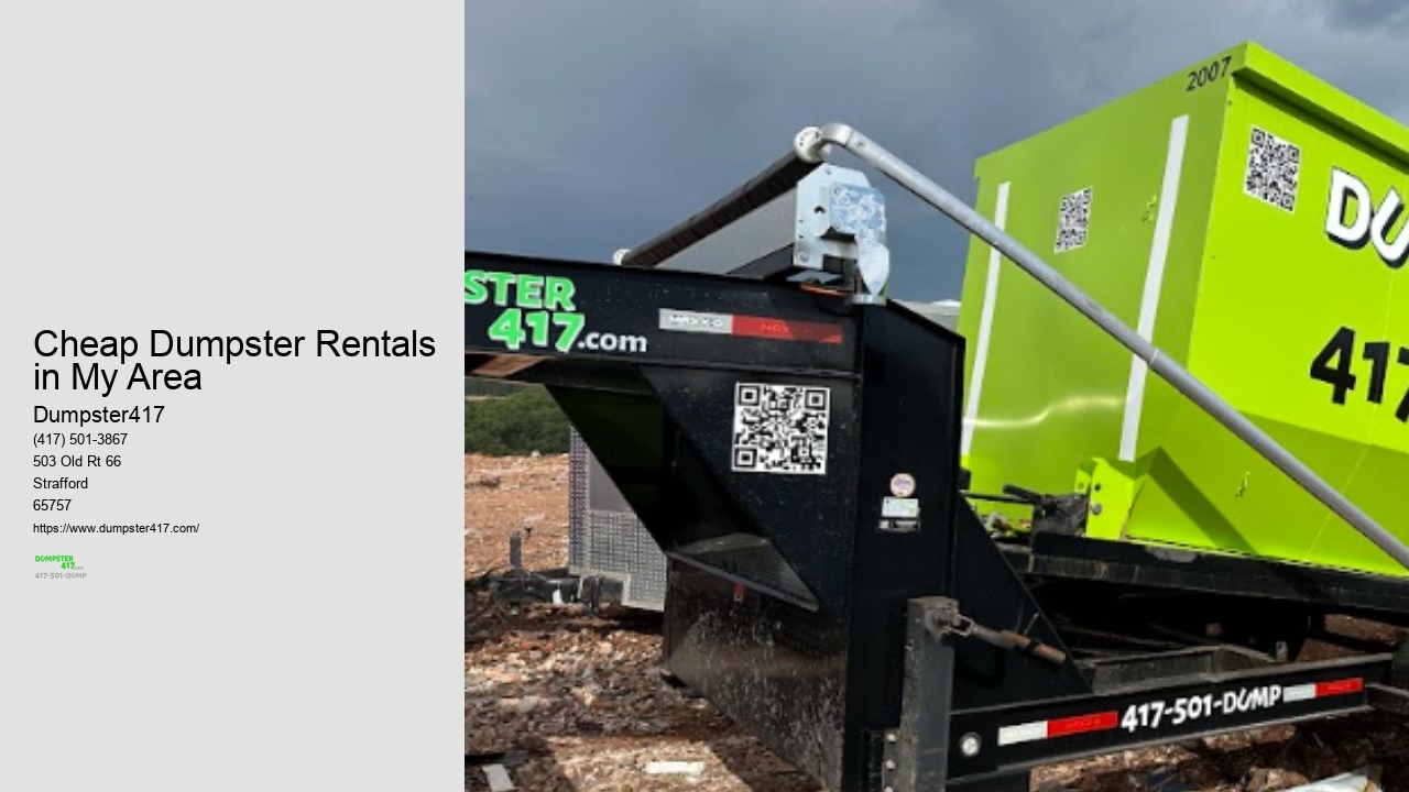 Small Dumpster Rental