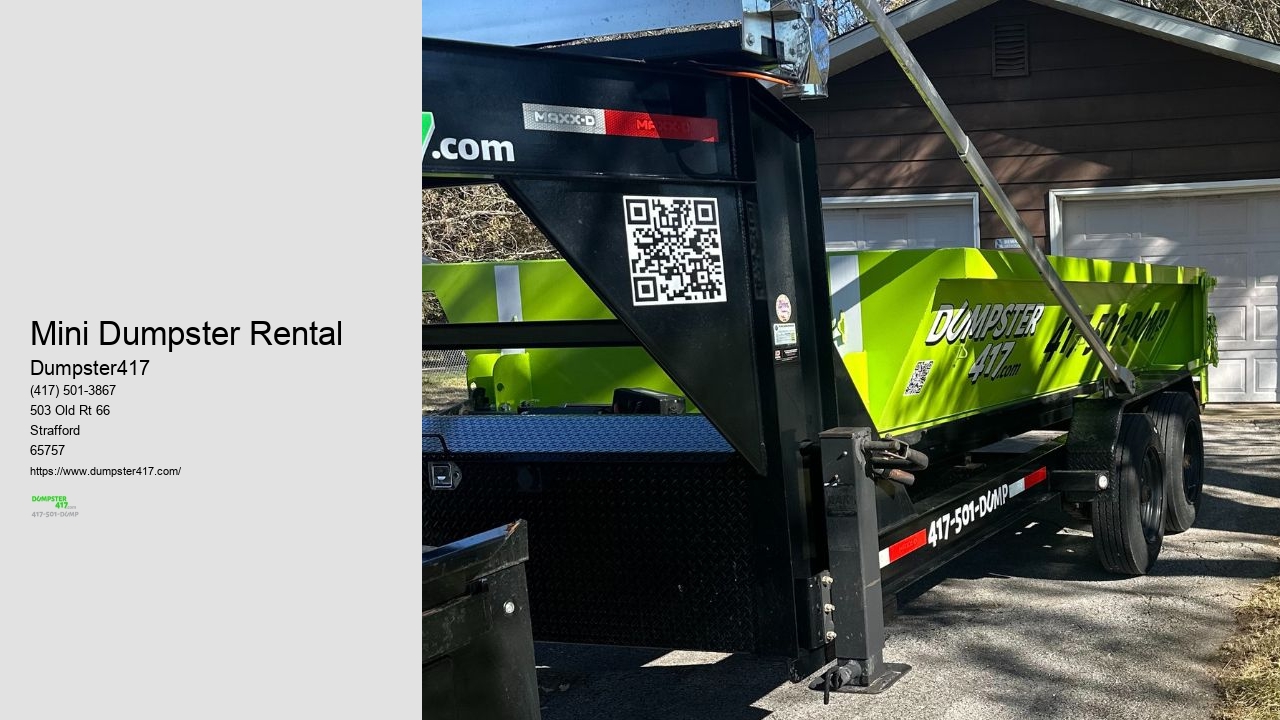 Mini Dumpster Rental